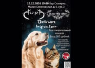 Благотворительный концерт в продержку Приюта для кошек и собак «Выбери меня»