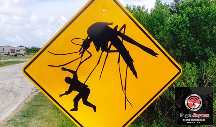Про радиоактивных комаров…