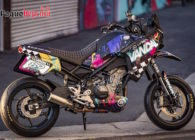 «The Vandal» на базе модели CF Moto Ibex 450