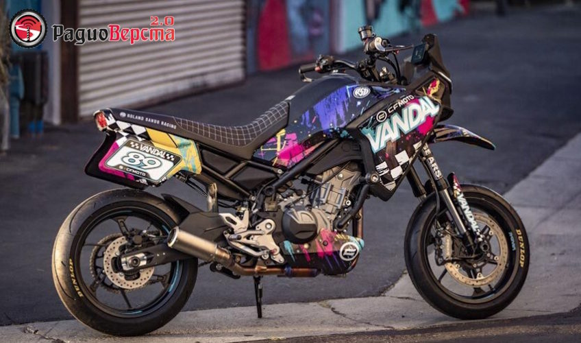 «The Vandal» на базе модели CF Moto Ibex 450